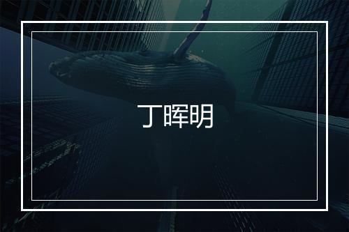 丁晖明