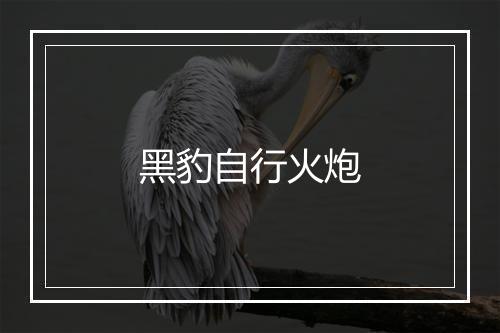 黑豹自行火炮