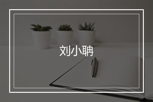 刘小聃