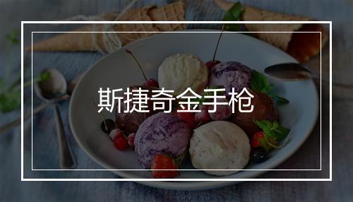 斯捷奇金手枪