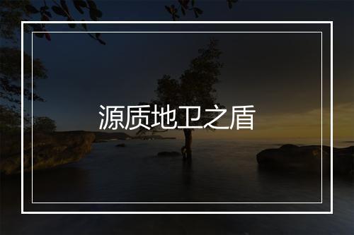 源质地卫之盾