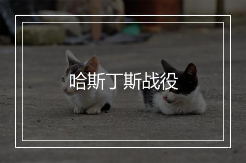 哈斯丁斯战役