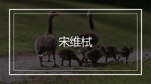 宋维栻