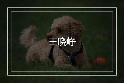 王晓峥