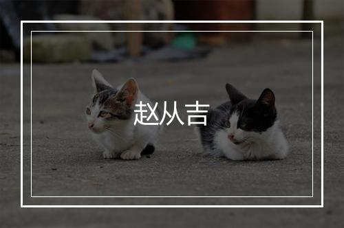 赵从吉