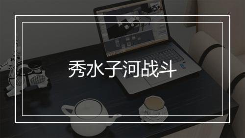 秀水子河战斗