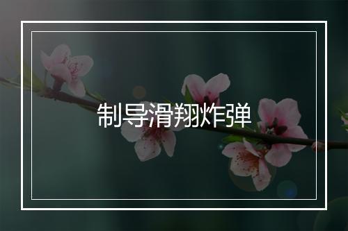 制导滑翔炸弹