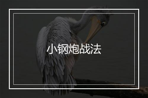 小钢炮战法