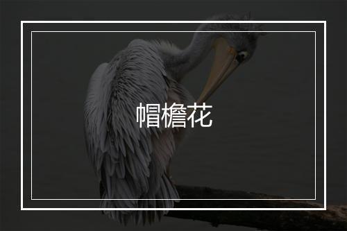 帽檐花