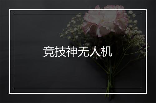 竞技神无人机