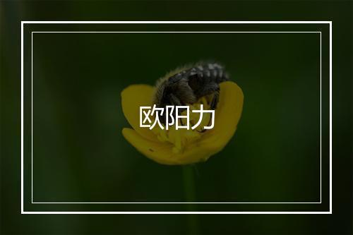 欧阳力