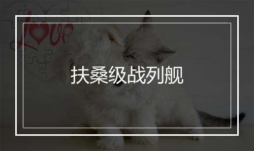 扶桑级战列舰