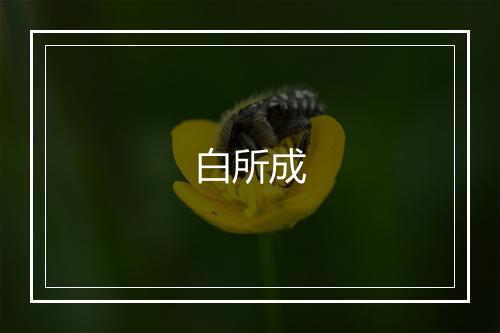 白所成