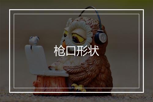 枪口形状