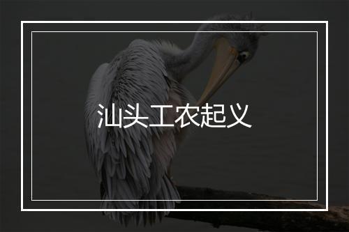 汕头工农起义