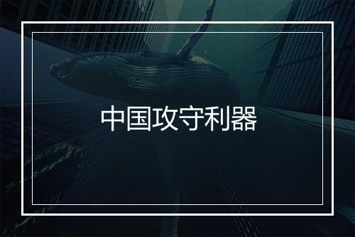 中国攻守利器