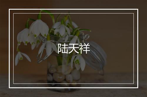 陆天祥