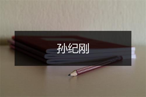 孙纪刚