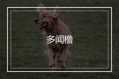 多闻橹