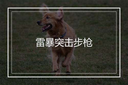 雷暴突击步枪