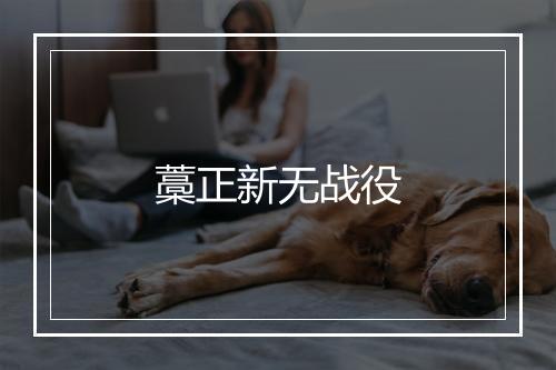 藁正新无战役