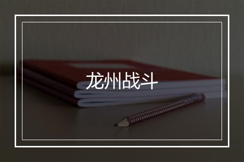 龙州战斗