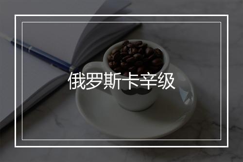 俄罗斯卡辛级