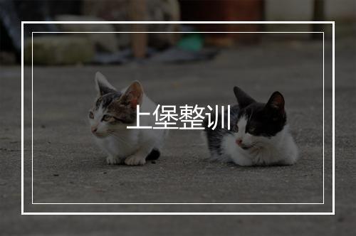 上堡整训