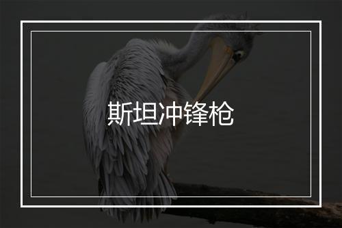 斯坦冲锋枪