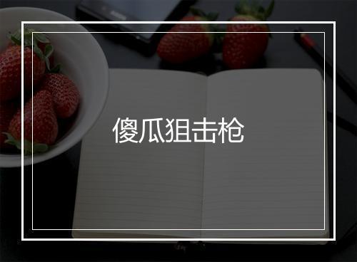 傻瓜狙击枪