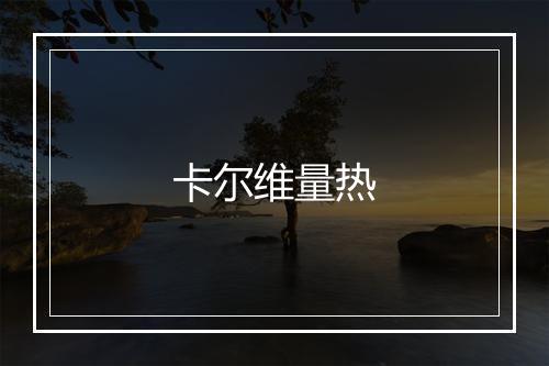 卡尔维量热