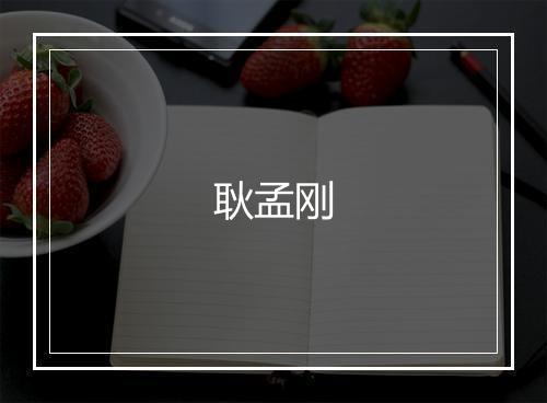 耿孟刚