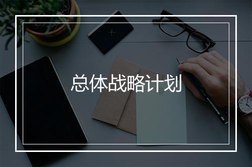 总体战略计划