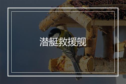 潜艇救援舰