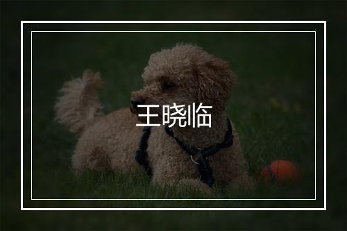 王晓临