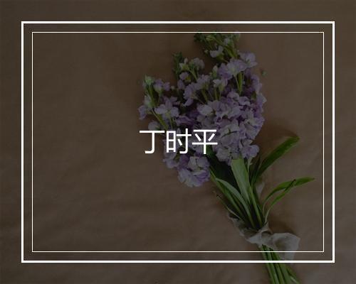 丁时平