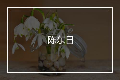 陈东日