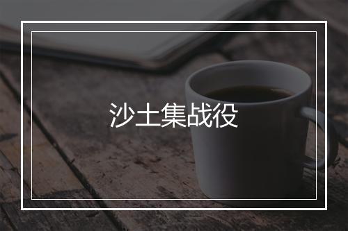 沙土集战役