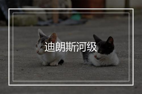 迪朗斯河级