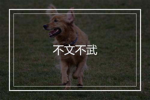 不文不武