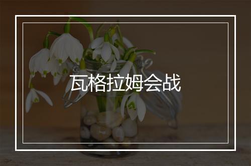 瓦格拉姆会战