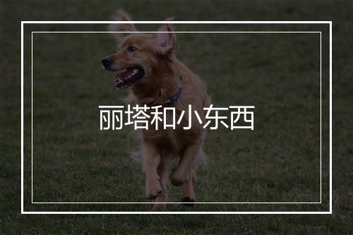 丽塔和小东西