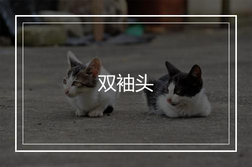 双袖头