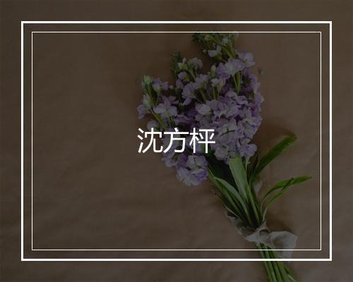 沈方枰