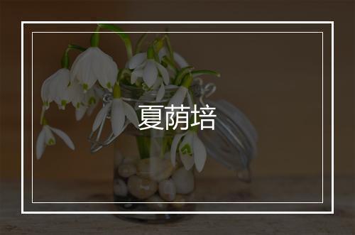 夏荫培