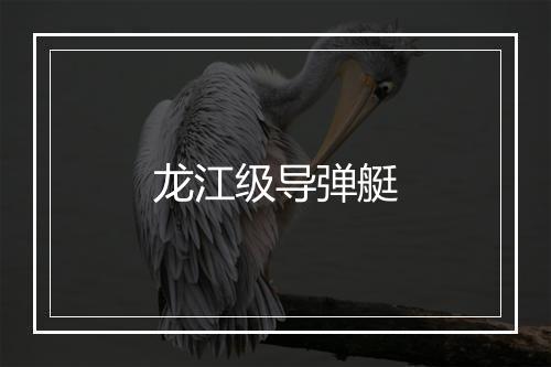 龙江级导弹艇