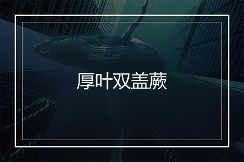 厚叶双盖蕨