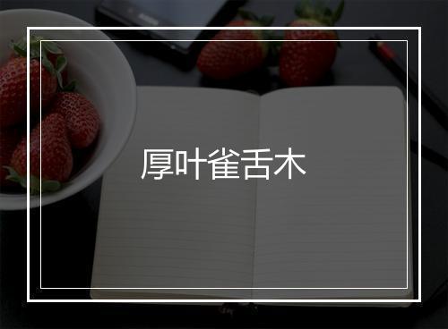 厚叶雀舌木