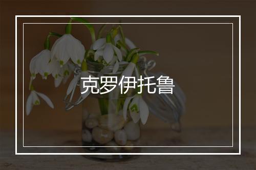 克罗伊托鲁