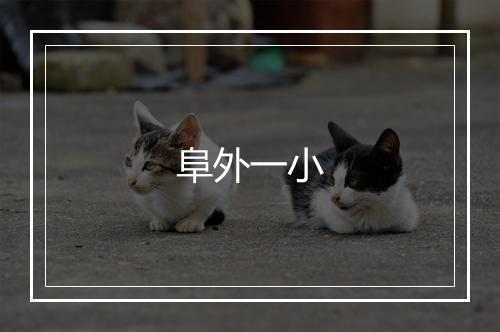 阜外一小